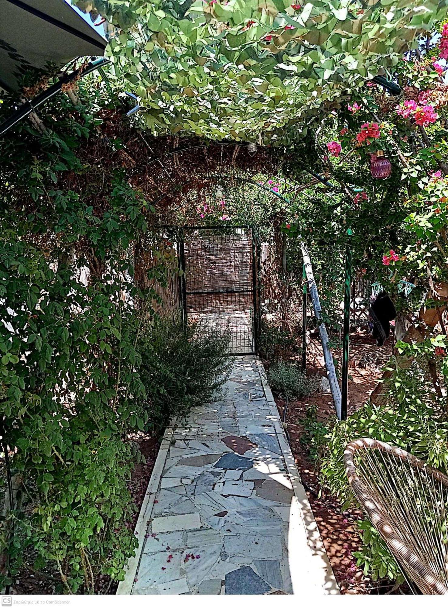 εξοχικό Maria Ambelakia